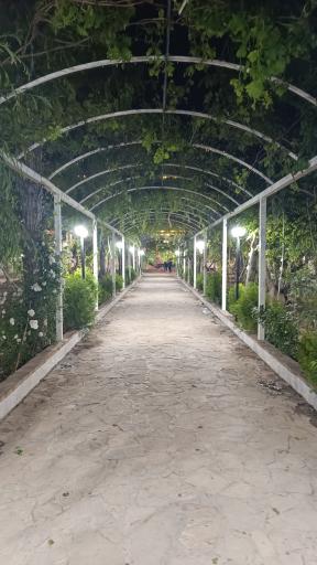 عکس چلوکبابی تاج محل