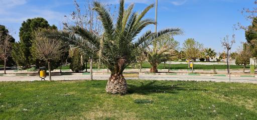 عکس پارک زنده یاد حاج رضا باقری