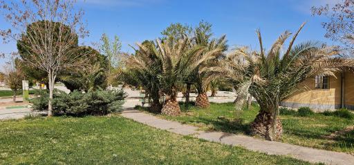 عکس پارک زنده یاد حاج رضا باقری