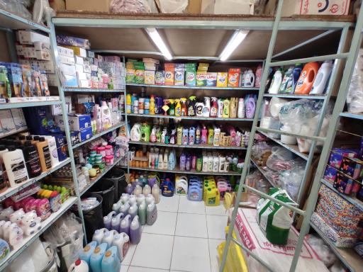 عکس شوینده بهداشتی کارن