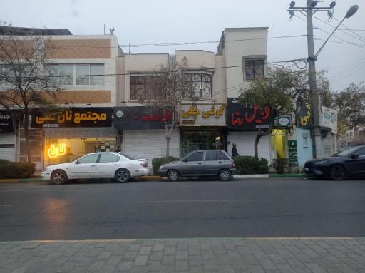 عکس گوشت شاهان 