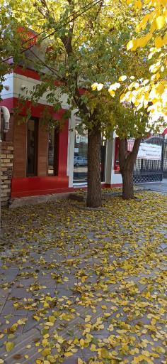 عکس شهرنت بانک شهر