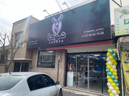 عکس هایپر پروتئینی شوکا