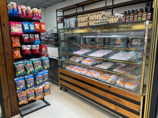 عکس هایپر پروتئینی شوکا