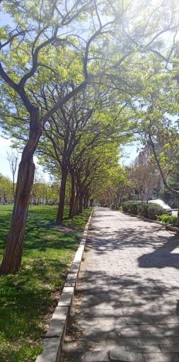 عکس بوستان ایثار