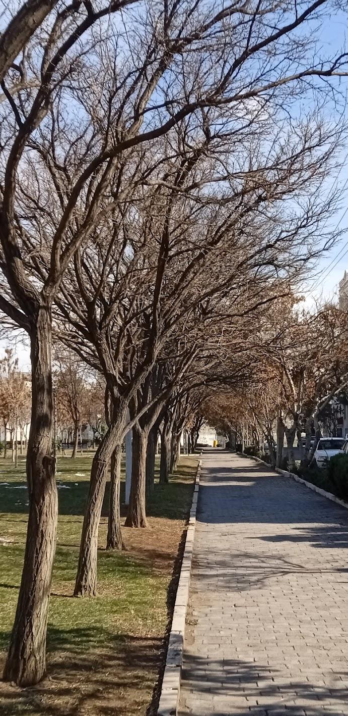 عکس بوستان ایثار