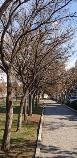 عکس بوستان ایثار