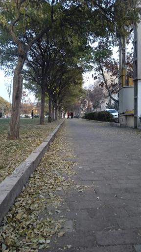 بوستان ایثار