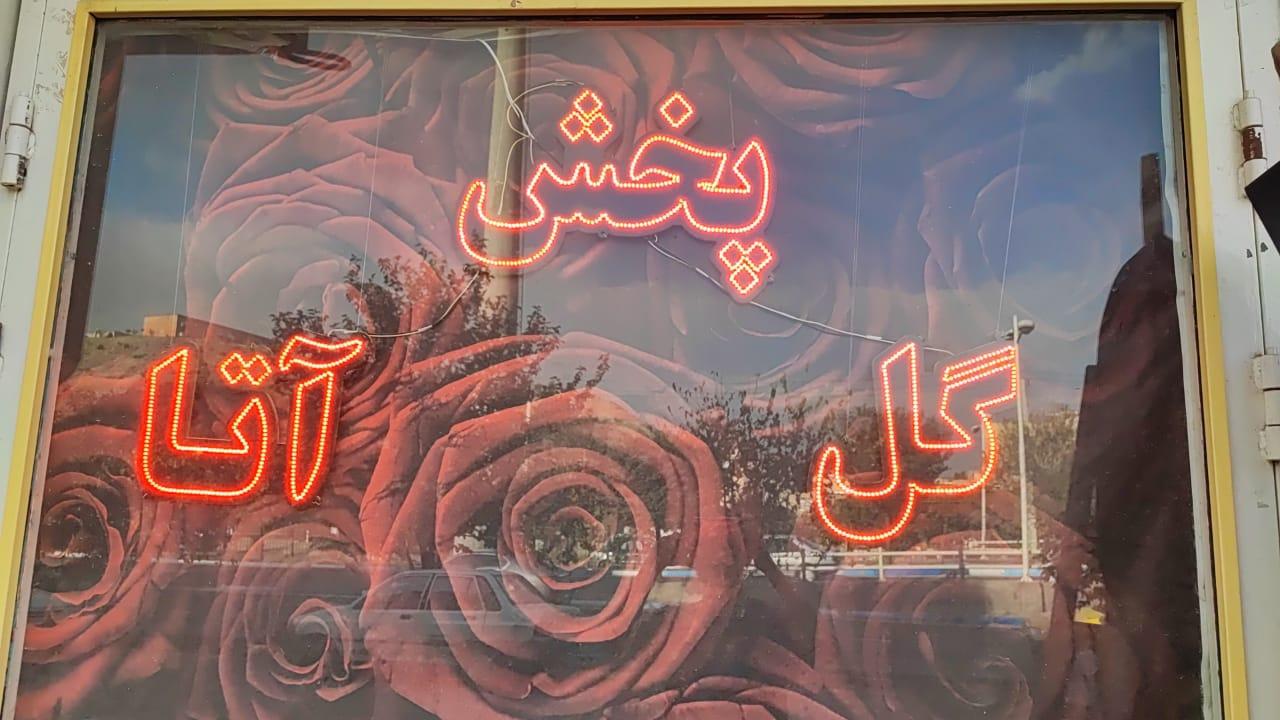 عکس پخش گل آتا