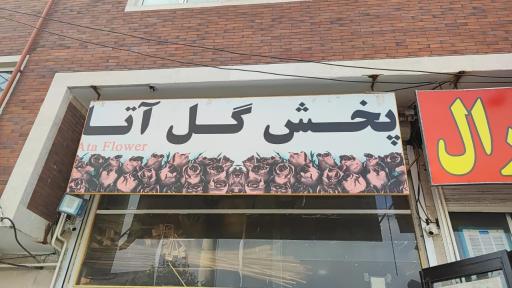 عکس پخش گل آتا