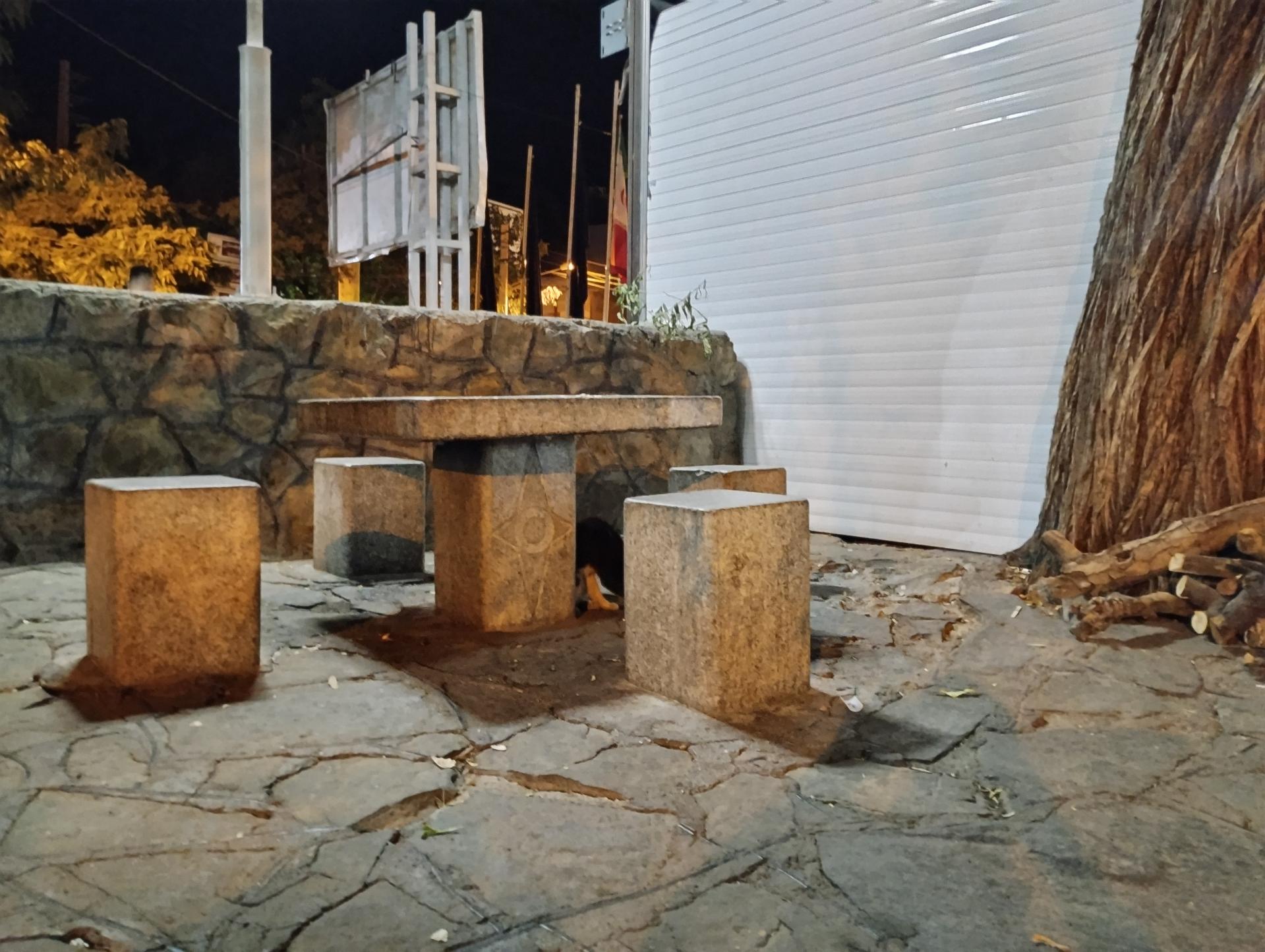 عکس جگرکی عمو فرج