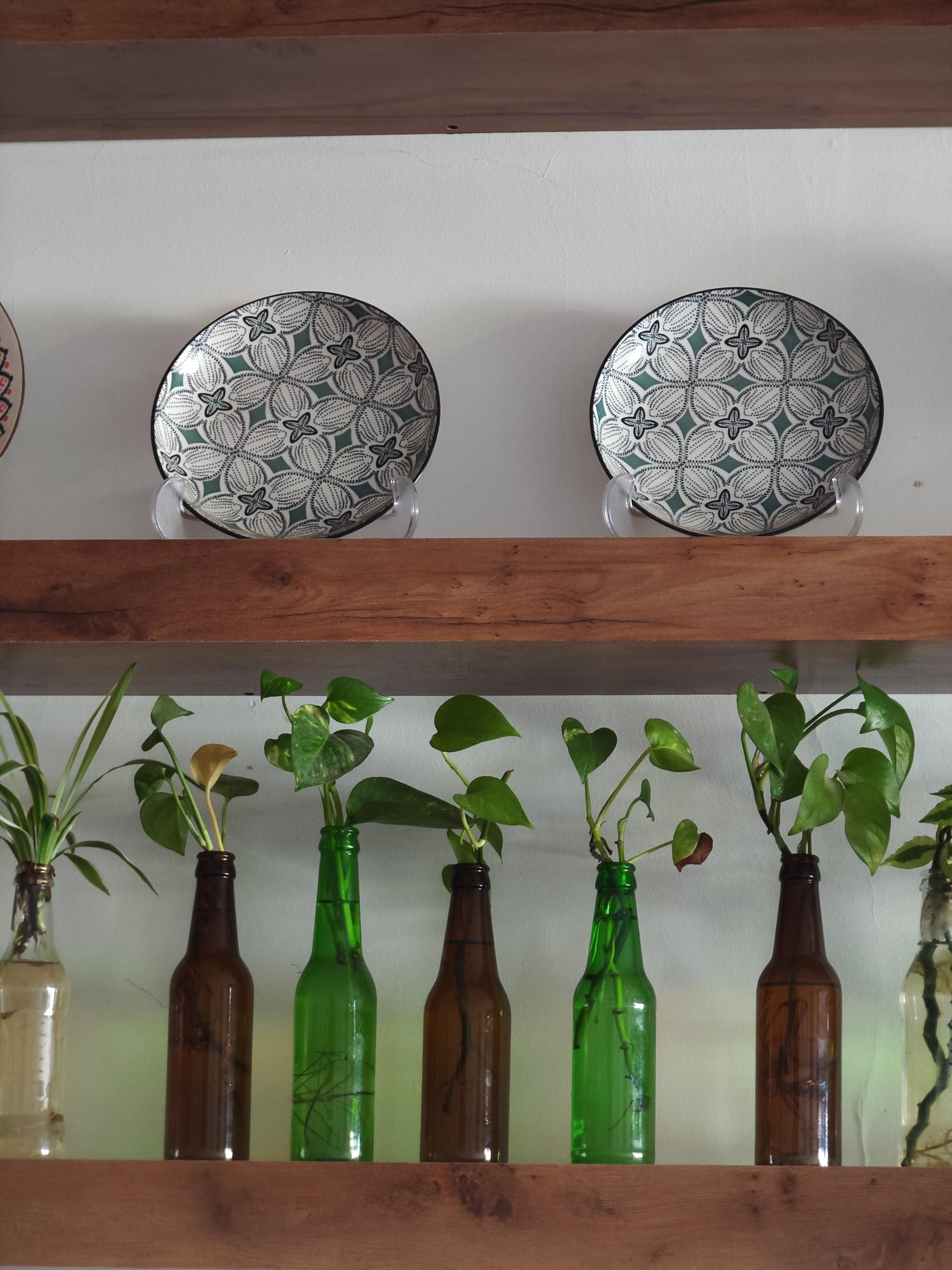 عکس کافه آش کلاله