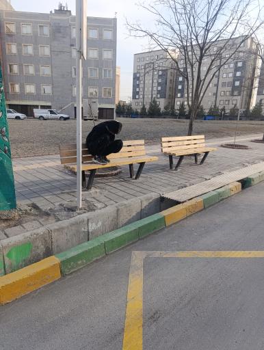 عکس  سجادیه 33