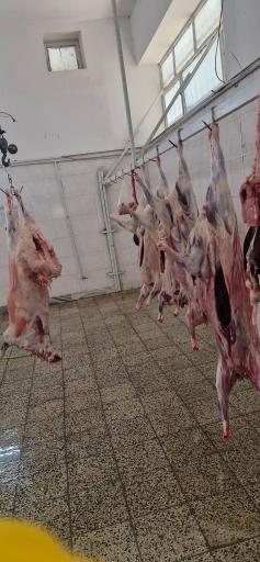 عکس سوپر گوشت یعقوبی