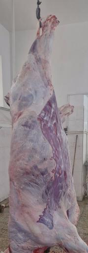 عکس سوپر گوشت یعقوبی