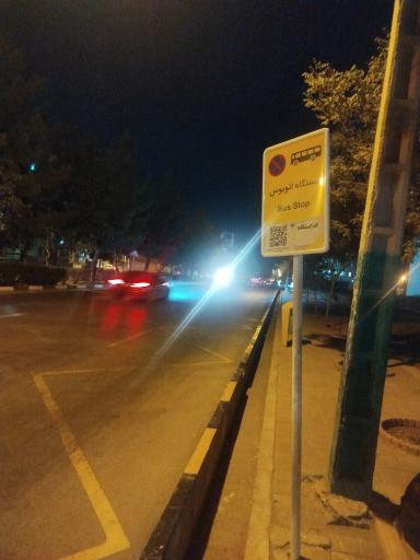 عکس  سجادیه 33