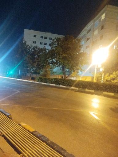 عکس  سجادیه 33