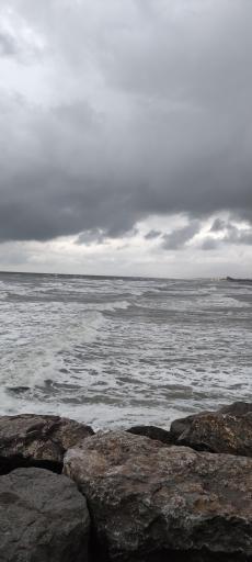 عکس ساحل انزلی