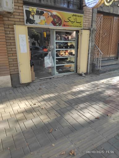 کیف و کفش پانیک 