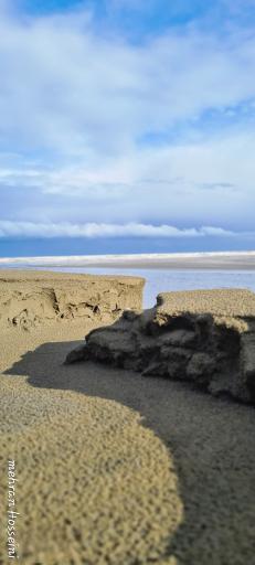 عکس ساحل انزلی