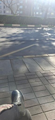 عکس  سجادیه 33