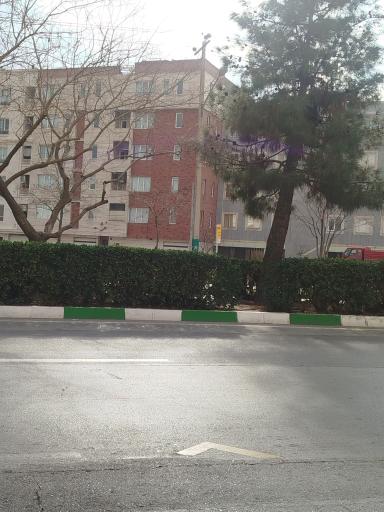 عکس  سجادیه 33