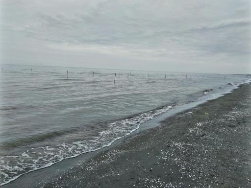 عکس ساحل انزلی