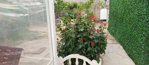 عکس سفره خانه سنتی دل آرام