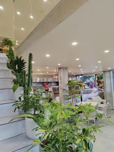 عکس فست فود کادوس