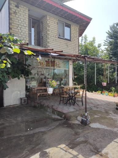 عکس کافه و بستنی آرش