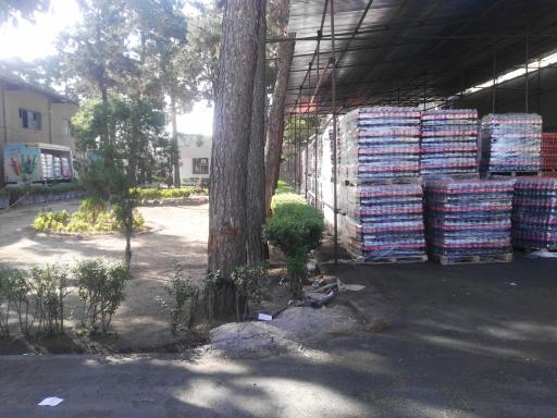 عکس عرضه مستقیم محصولات زمزم