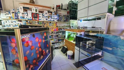 عکس اکواریوم جزیره