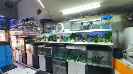 عکس اکواریوم جزیره