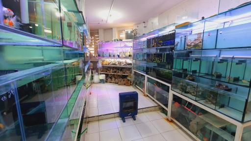 عکس اکواریوم جزیره