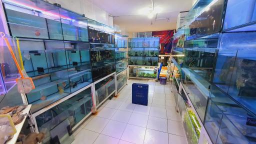 عکس اکواریوم جزیره