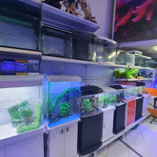 عکس اکواریوم جزیره