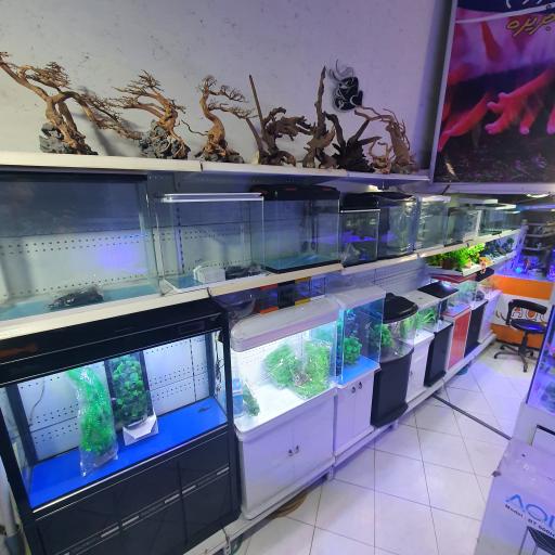 عکس اکواریوم جزیره