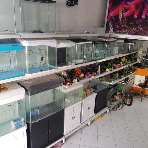 عکس اکواریوم جزیره