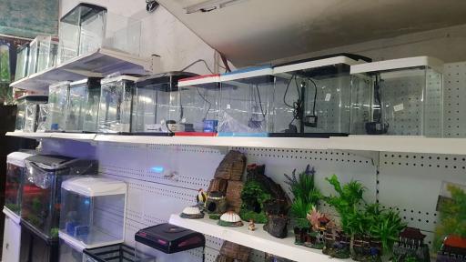 عکس اکواریوم جزیره