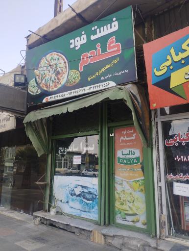 عکس پیتزا گندم