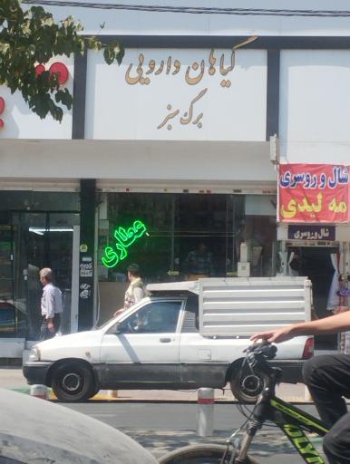 عکس عطاری برگ سبز