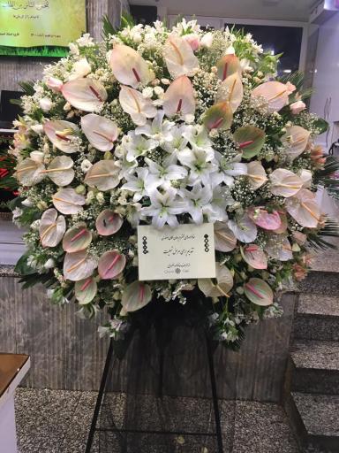 عکس گلکده گل رز