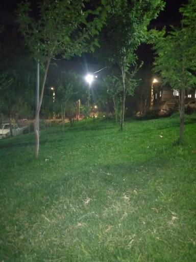 عکس پارک لاله