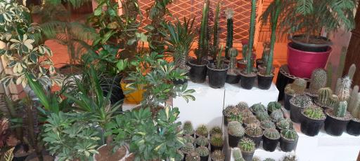 عکس گل فروشی شهریور