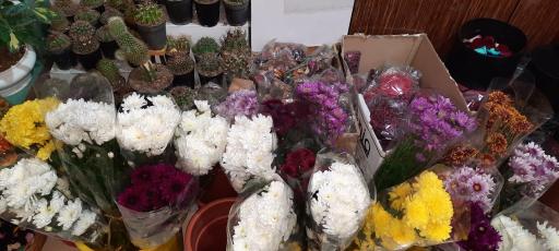 عکس گل فروشی شهریور