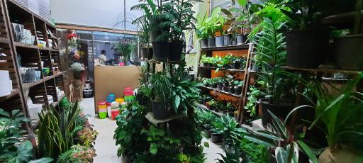 عکس گل فروشی شهریور