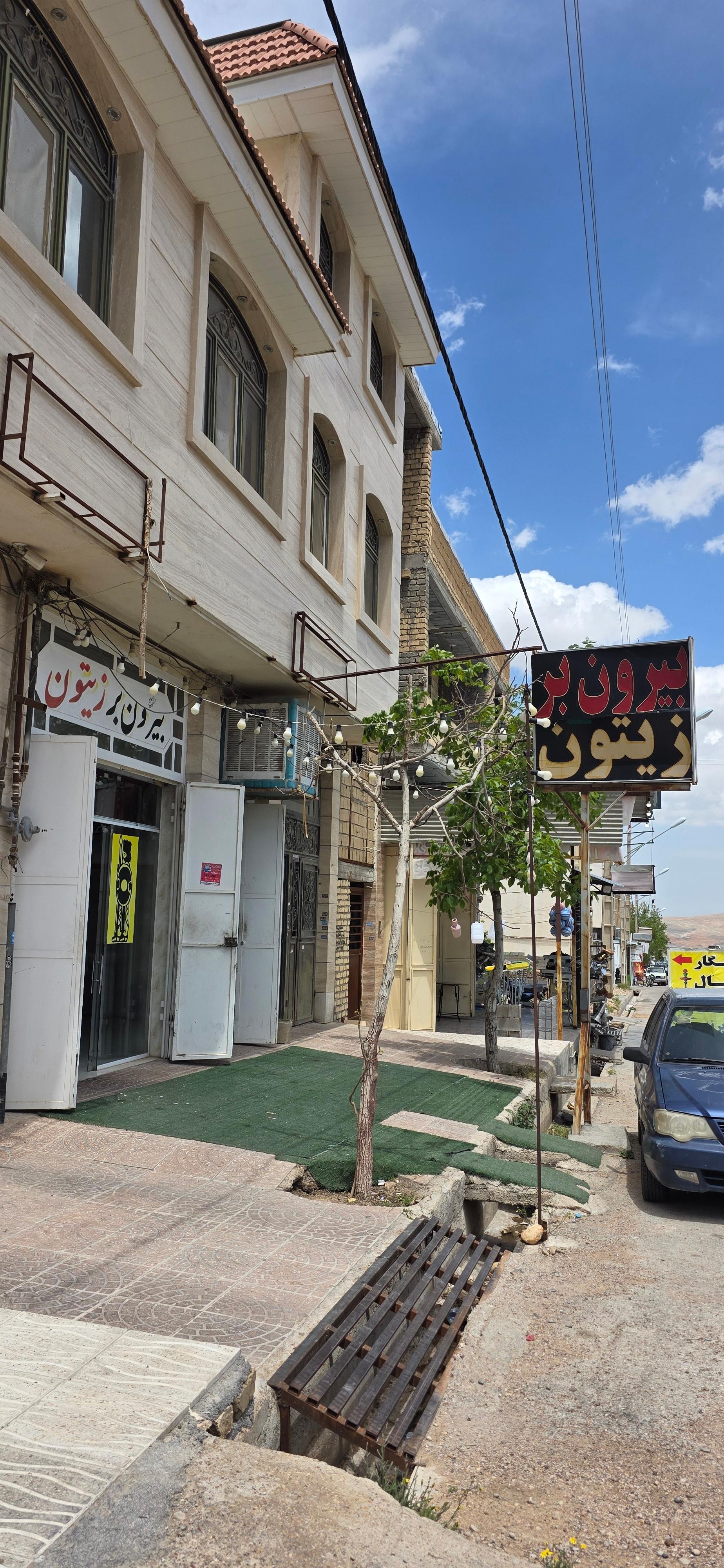 عکس بیرون بر زیتون