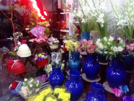 عکس گلکده گل رز