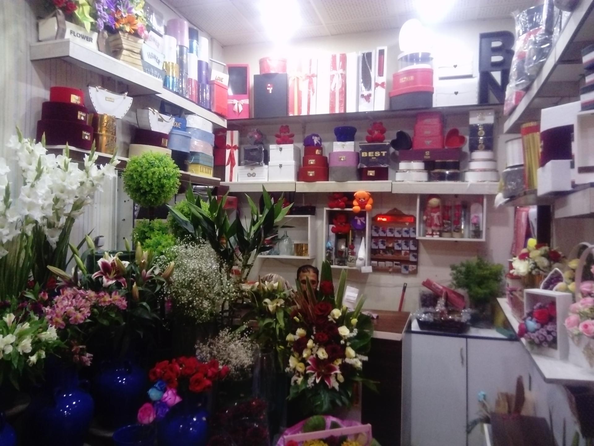 عکس گلکده گل رز