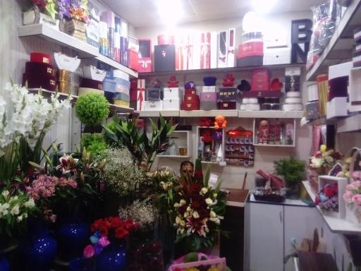 عکس گلکده گل رز